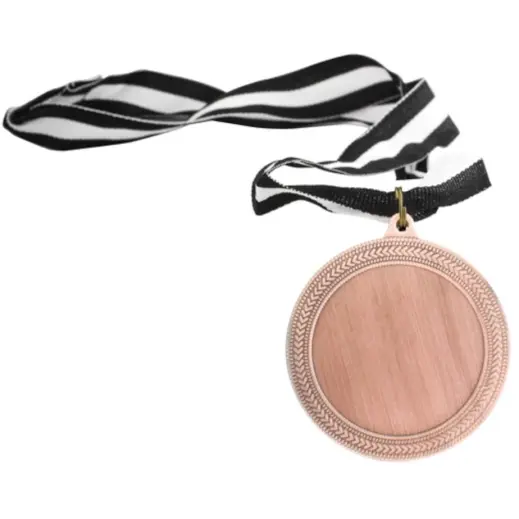 Iron Medal & Ribbon Bronze Display